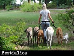theanimalporn.com